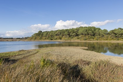 Anse de Kerdual _ La Trinite sur Mer