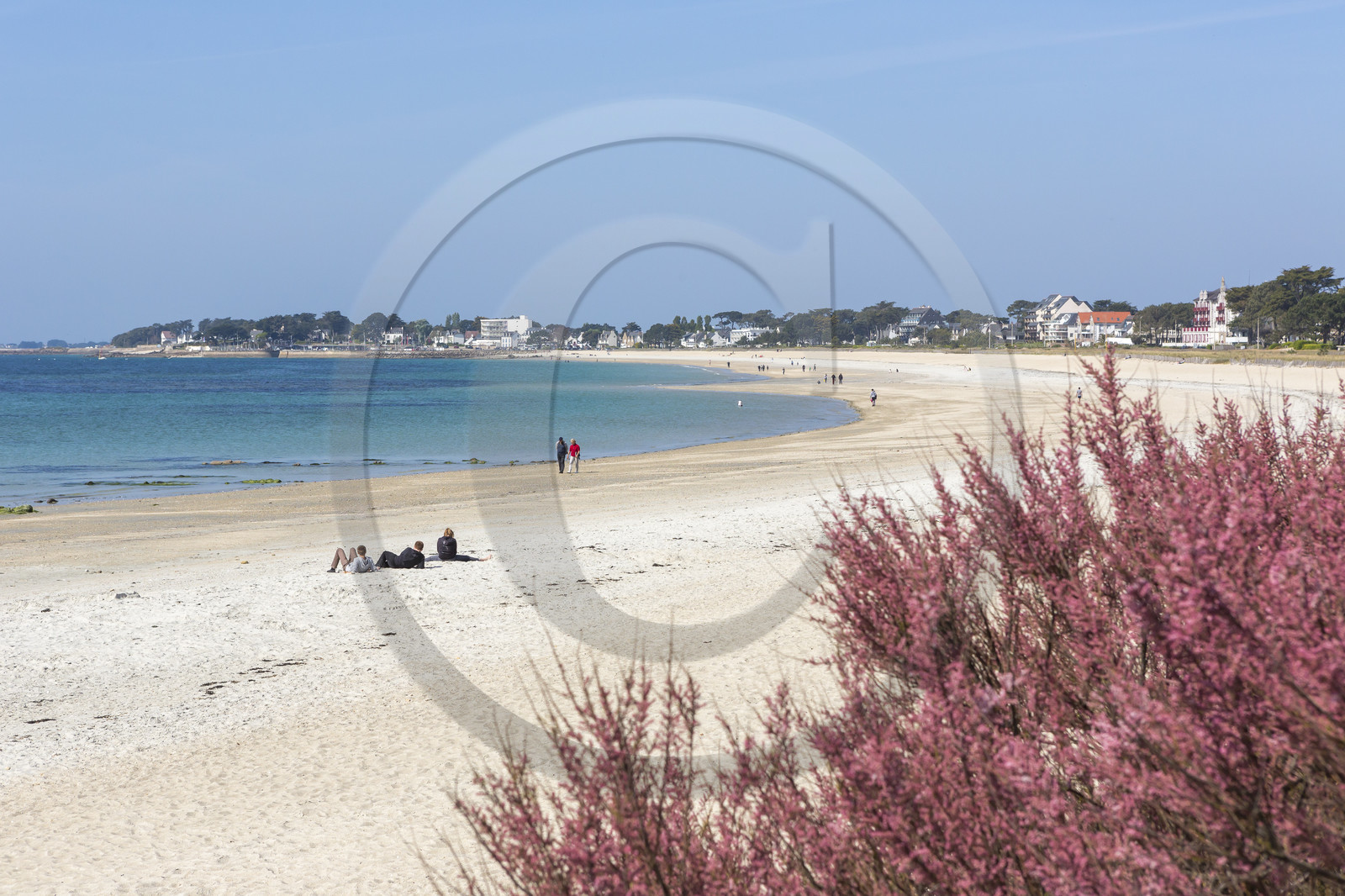 La grande plage de Carnac