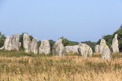 Les alignements de Kermario _ Carnac