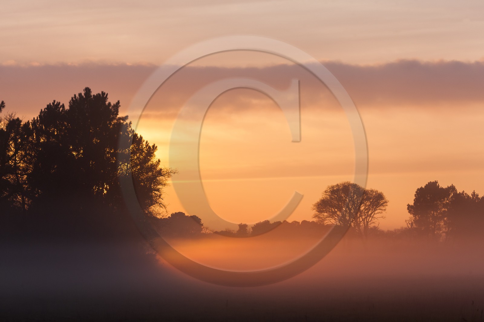 champ dans la brume_Erdeven