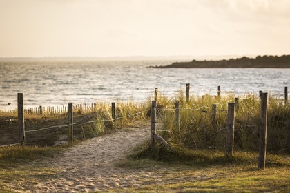Le site du Poulbert _ La Trinite sur Mer