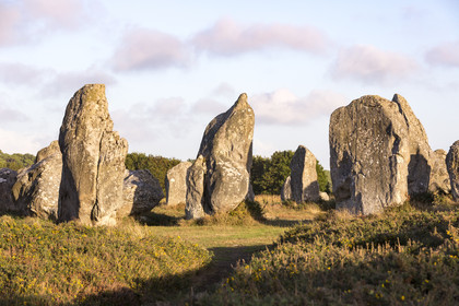 Les alignements de Kermario _ Carnac