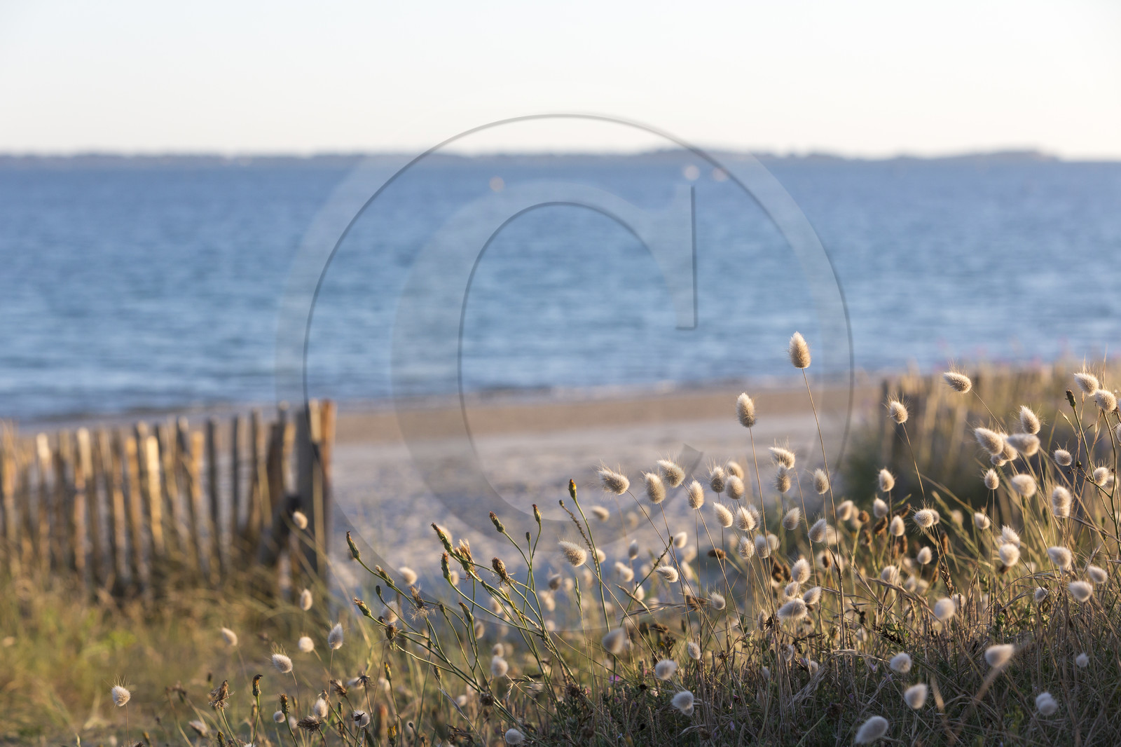 Grande plage de Carnac