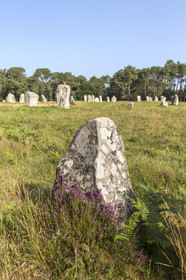 Alignements de Kerlescan à Carnac