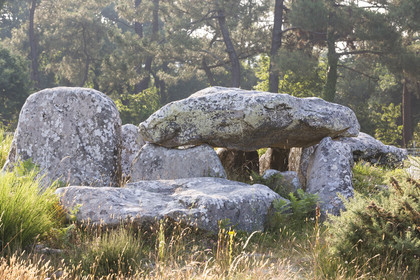 Les alignements de Kermario _ Carnac