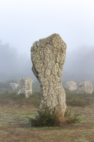 Les alignements du Menec à Carnac