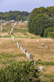 Les alignements de Kermario _ Carnac