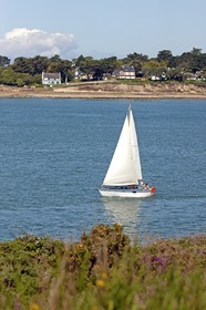 La riviere de Crach depuis Saint-Philibert.