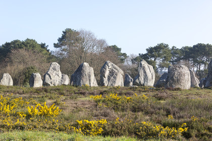 Alignements de Kermario _ Carnac