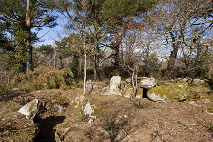 Dolmen de kervilor mane bras. La Trinite su Mer.