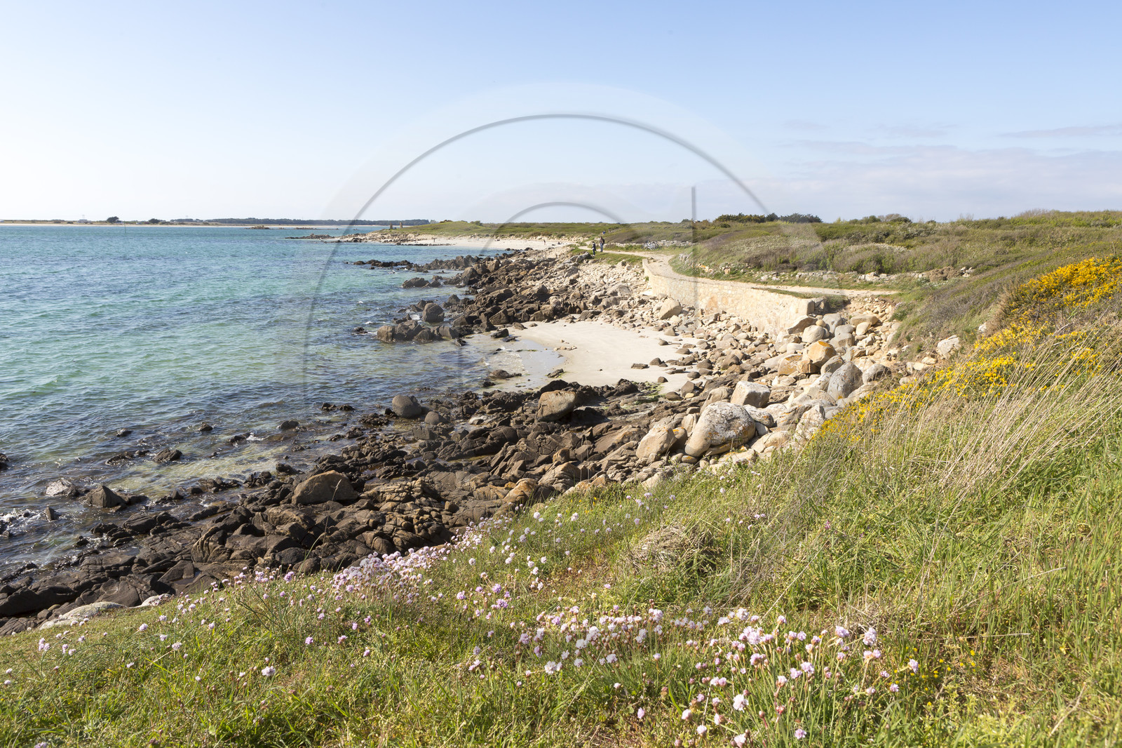 sentier littoral à Carnac
