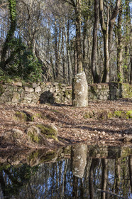 Alignements du Petit Menec _ La Trinite sur Mer