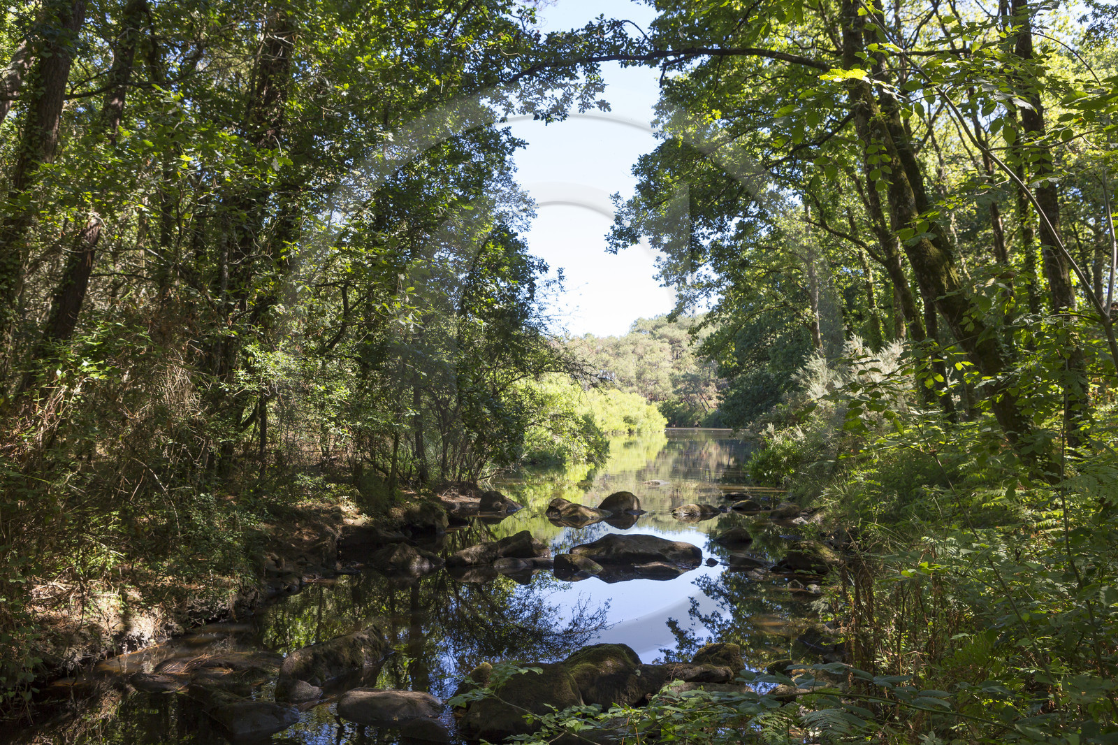 Le ruisseau du Gouyanzeur à Carnac