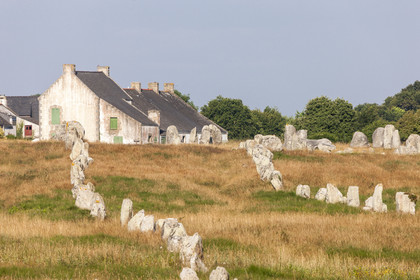 Alignements de Menhirs du Ménec à Carnac
