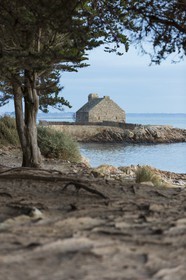 La pointe de Kerbihan _ La Trinite sur Mer