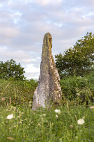 Le Tumulus du Moustoir à Carnac