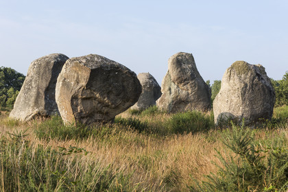 Les alignements de Kermario _ Carnac
