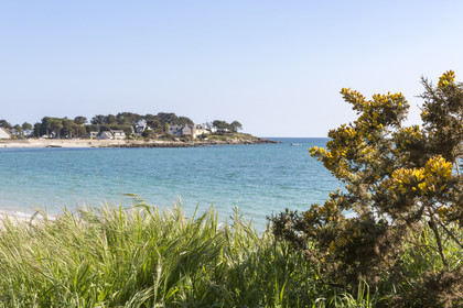 _55A3128_carnac130417