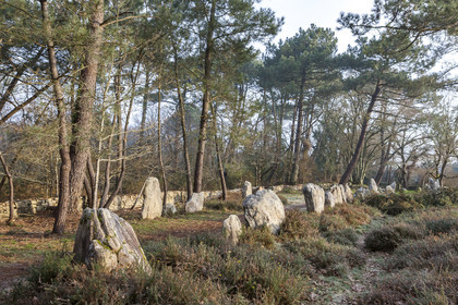 Alignements du Petit Menec _ La Trinite sur Mer