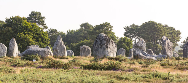 Les alignements de Kermario _ Carnac