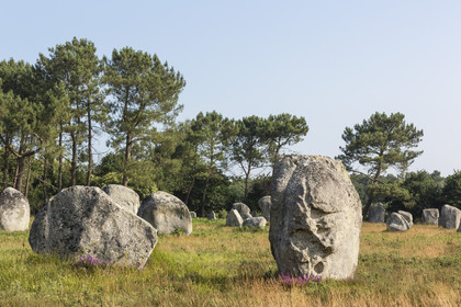 Les alignements de Kerlescan _ Carnac