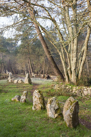 Alignements du Petit Menec _ La Trinite sur Mer