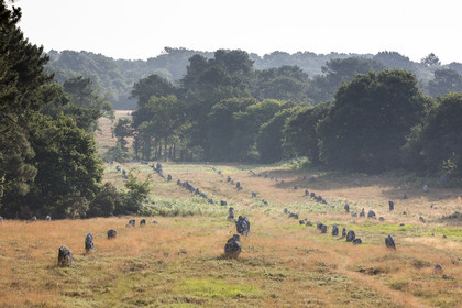Les alignements de Kermario _ Carnac