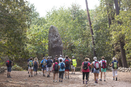 Le géant du Manio à Carnac