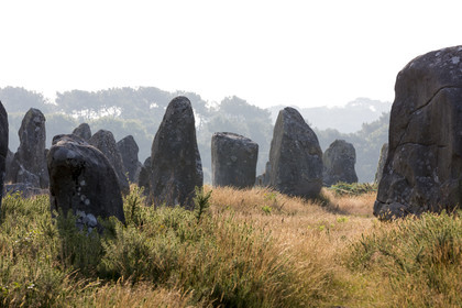 Les alignements de Kermario _ Carnac